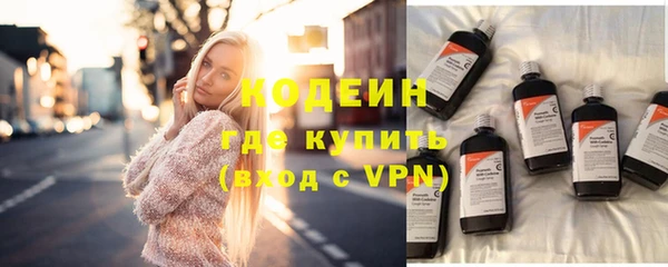 молекула духа Кулебаки