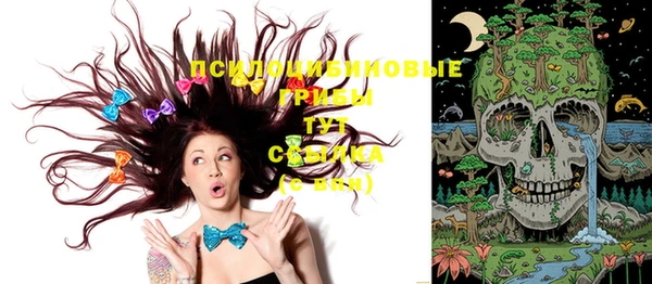 молекула духа Кулебаки