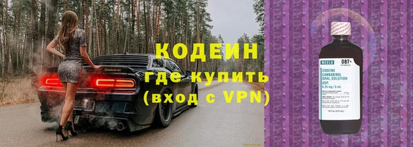молекула духа Кулебаки