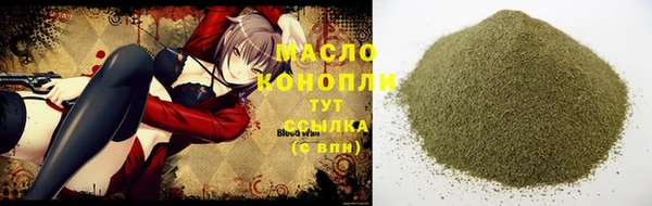 молекула духа Лабытнанги