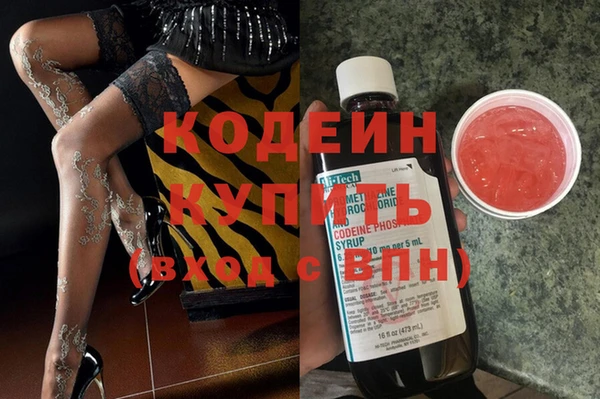 молекула духа Лабытнанги